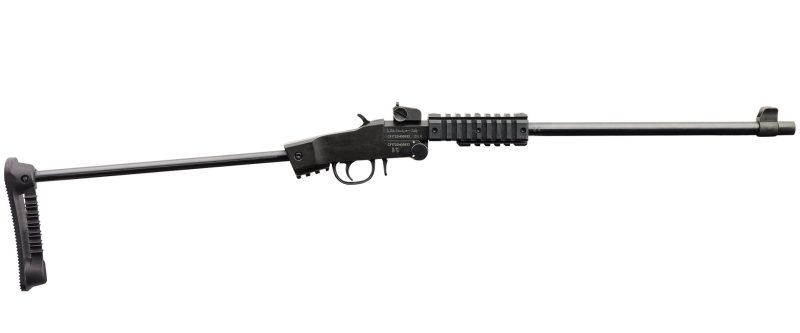 CHIAPPA LITTLE BADGER TDX .22