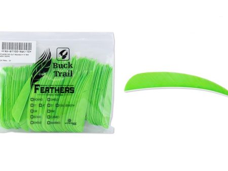 Buck Trail Pera Round Lemon 4"