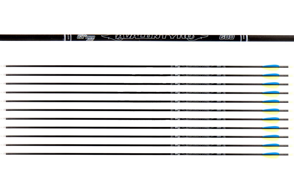 Avalon Tyro Karbonske strijele 31/600 Yellow/Blue