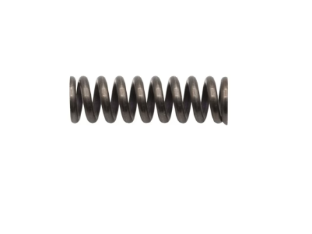 Laugo Arms Alien Extractor Spring